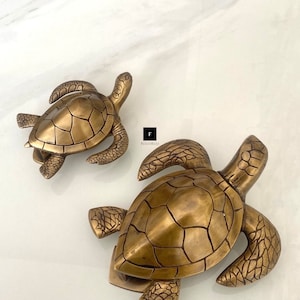 May include: Two gold-toned turtle door knockers. The larger turtle is facing down, while the smaller turtle is facing up. Both turtles have detailed shell and leg designs.