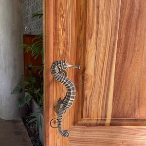 May include: A brass door handle shaped like a seahorse. The handle is a dark bronze colour with a textured finish.