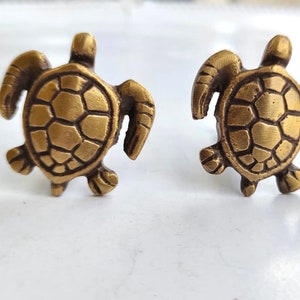 K&ouml;nnte beinhalten: Zwei goldfarbene, schildkr&ouml;tenf&ouml;rmige Schubladenkn&ouml;pfe. Die Schildkr&ouml;ten haben detaillierte Panzer und sind in die gleiche Richtung ausgerichtet.