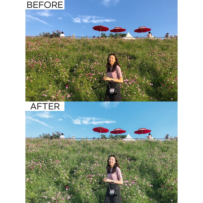 6 Japan Lightroom Presets Japanese Style Travel Film Etsy