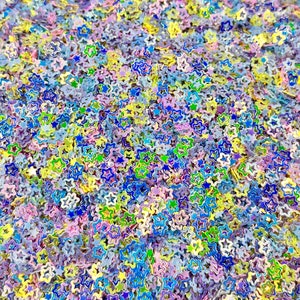 Brillanter Stern Glitzer Pailletten Mix