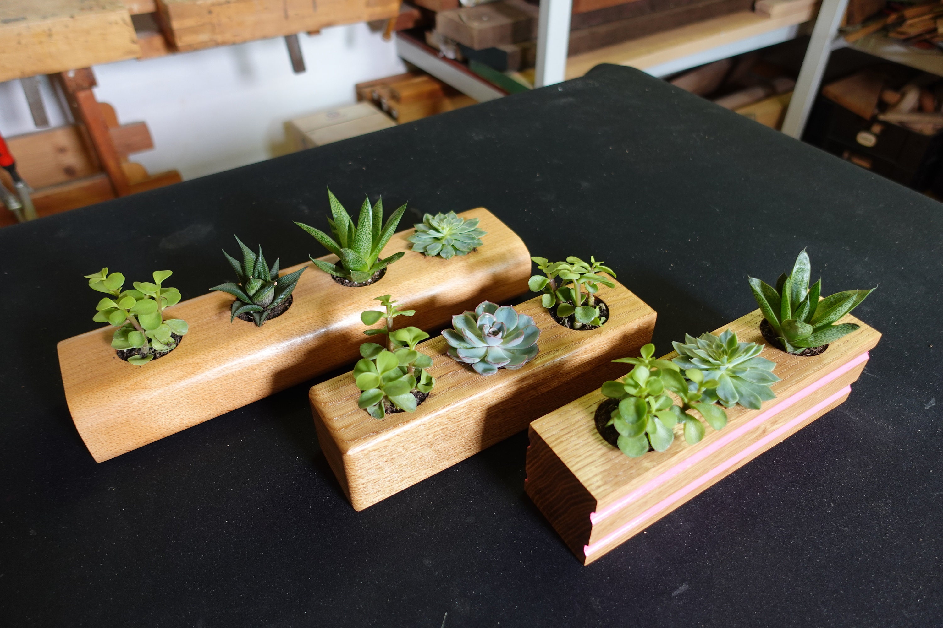 Planos de jardineras de suculentas, planos de construcción, jardineras,  jardineras de suculentas diy, dibujos, boda de suculentas, Suculentas,  Arreglo de Suculentas, diy - Etsy México, image size:3000x2000