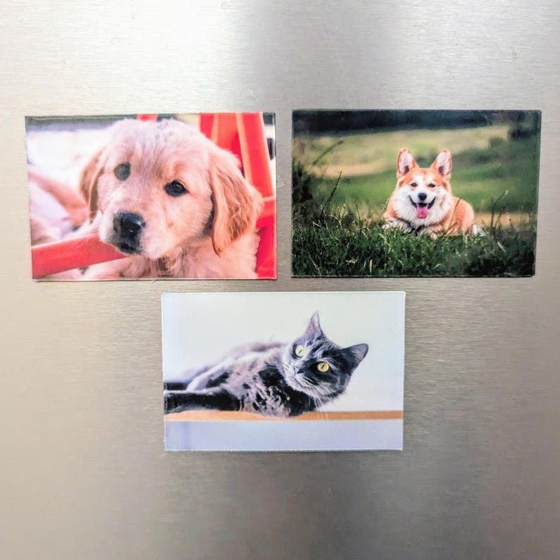 Custom Photo / Image Magnet – Family, Pet, Event Keepsake - Etsy