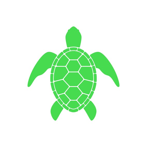 Turtle SVG files Turtle vector turtle clipart svg bundle | Etsy