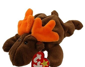 chocolate moose teddy