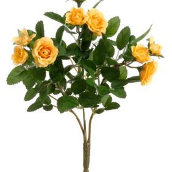 Yellow Mini Rose Bush, 10"