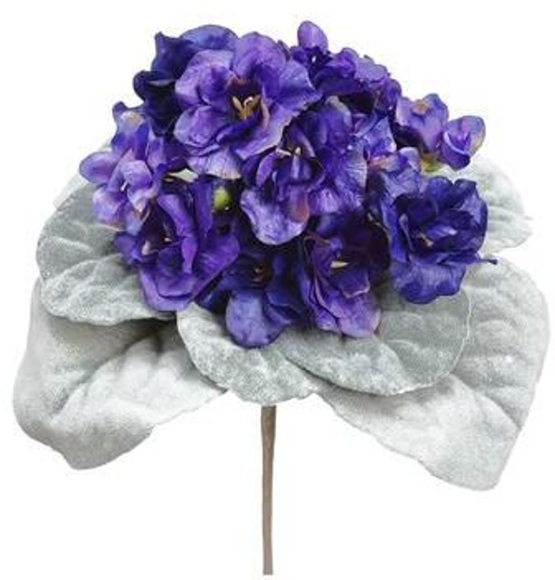 Polysilk Purple African Violet 8 Etsy