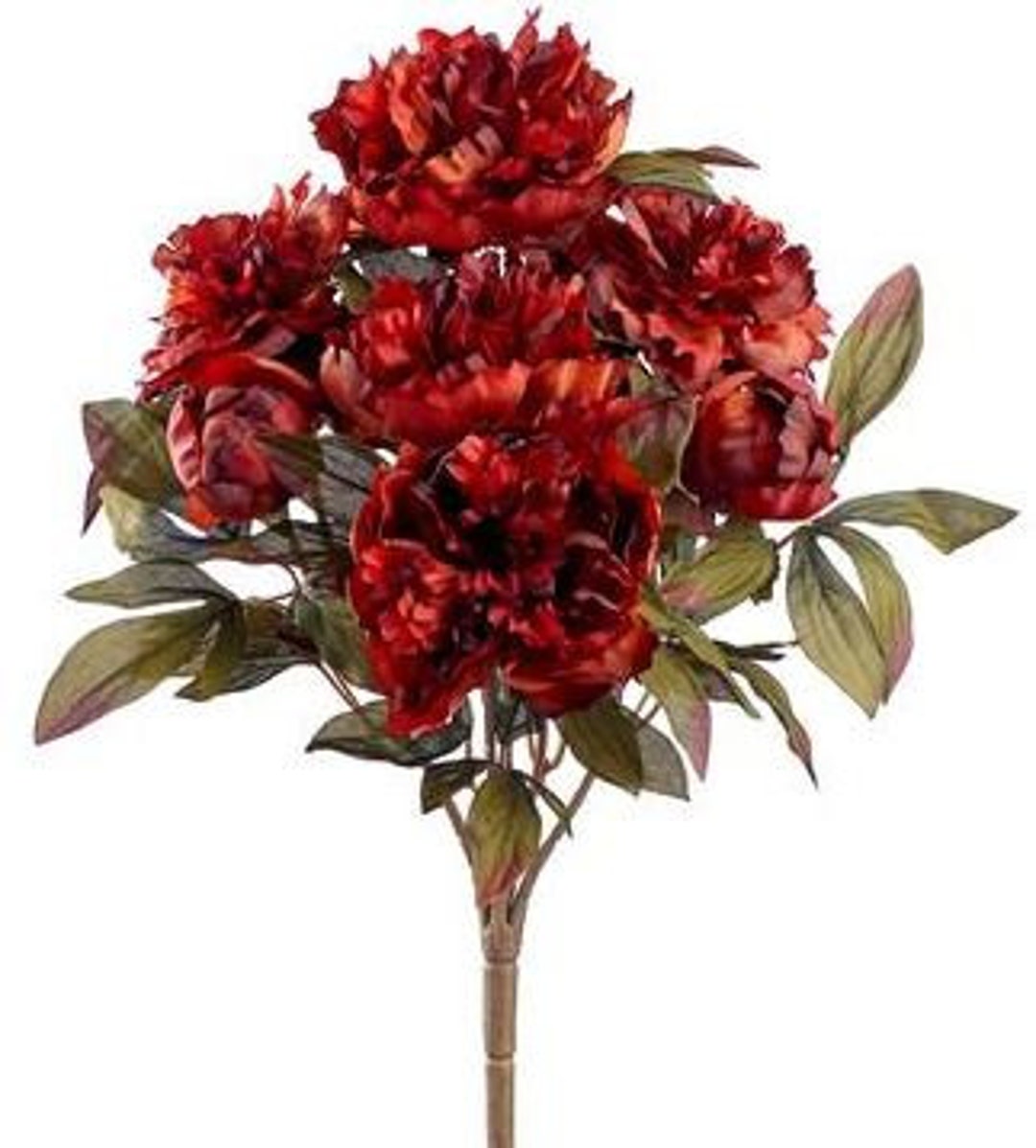 Poly-silk Rust Peony Bush, 20 - Etsy