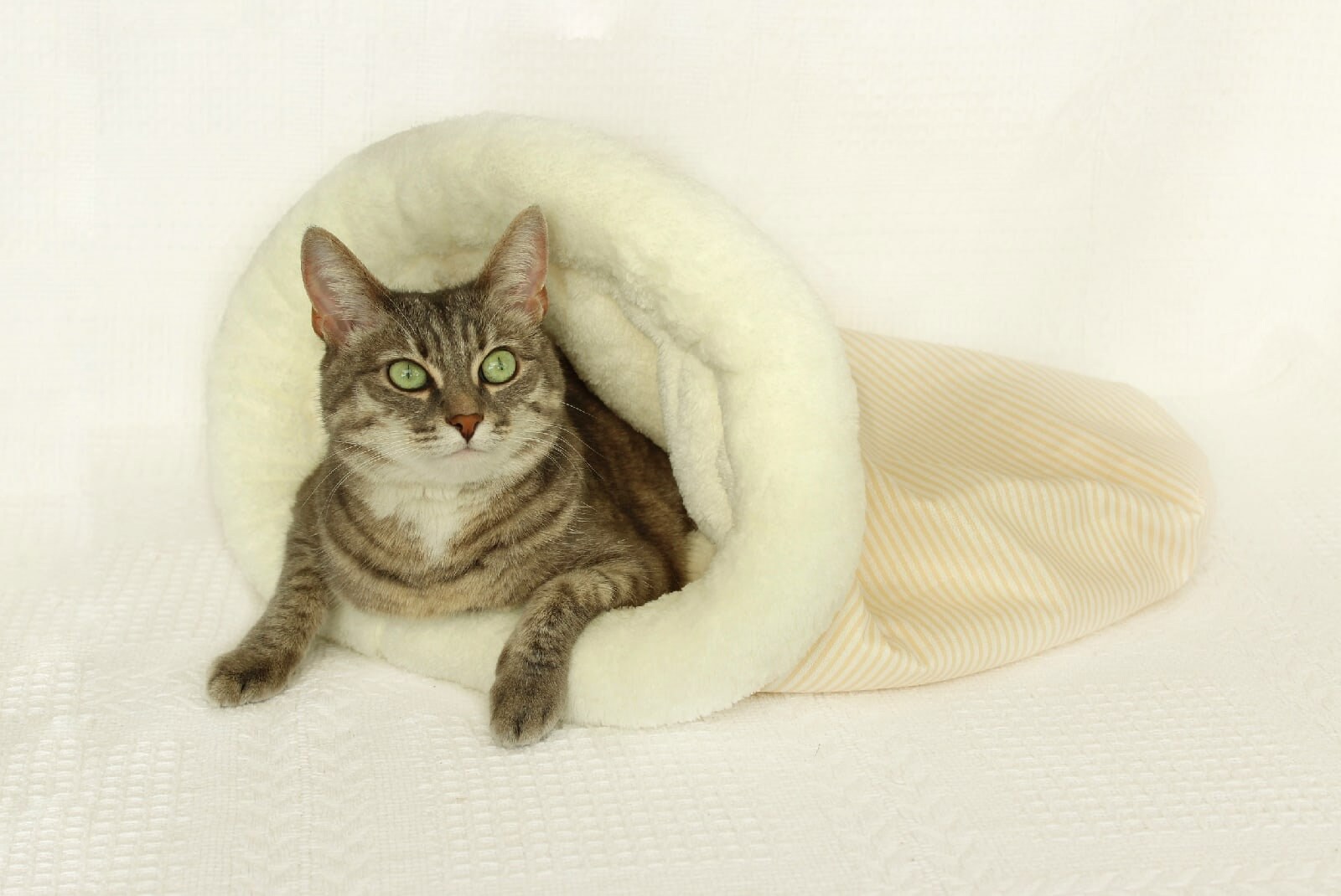 Cat Bed Cave Cat Sleeping Bag Cat House Indoor Outdoor Etsy UK