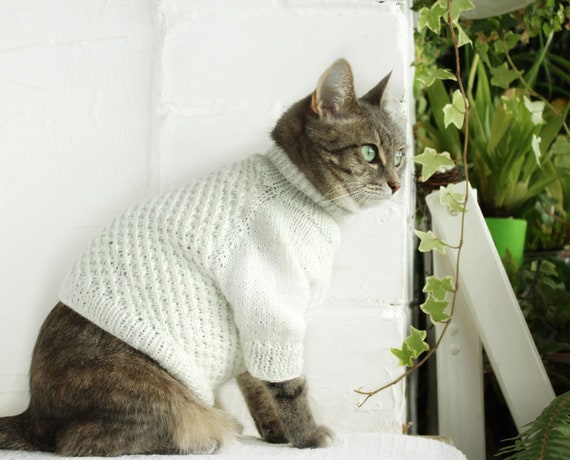 do cats need sweaters