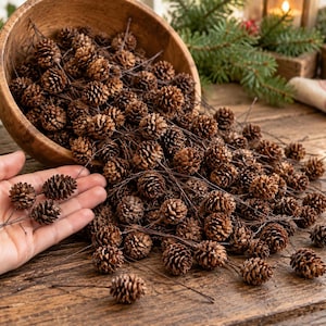 May include: A collection of small, brown, natural pinecones attached to thin, dark wire stems. The pinecones are contained within a round wooden bowl, with several individual pinecone stems spilling out onto the surface below.
