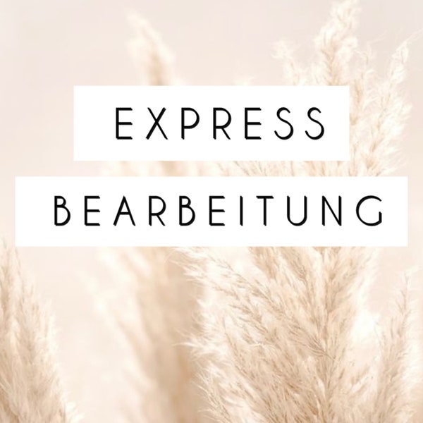 Express Bearbeitung