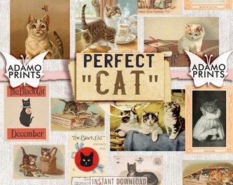 Gato perfecto, Fotos, Imágenes imprimibles, Arte vintage, Efímera clásica, ATC, Collage digital, Efímera digital, Animal, Álbum de recortes, Descargar
