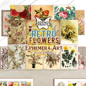 Retro Blumen, Wildblumen Digital, Digitale Ephemera, Scrapbook, ATC, Vintage, Pflanze, Garten, digitale Collage, Vintage Kunst, digitale Bilder