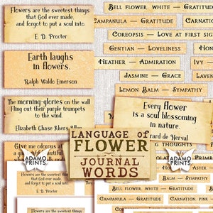 Linguagem das palavras do diário de flores, prompts do diário, palavra de registro no diário, definição, mídia mista, kit digital, coisas efêmeras, citações para impressão