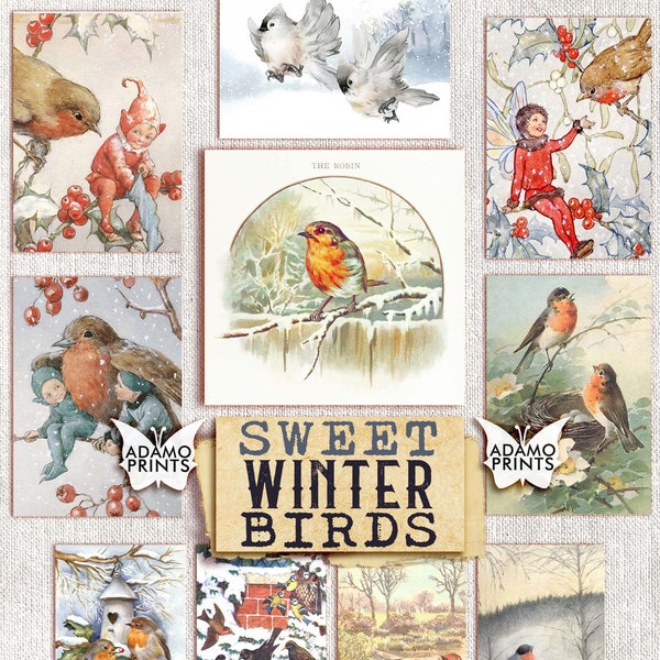 Sweet Winter Birds, Digital Art, Ephemera Classic, Journal Supplies, Vintage Art, ATC, Digital Images, Scrapbook Winter, Winter Journal Kit