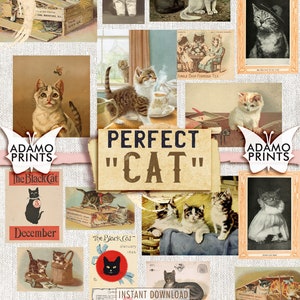 Perfect Cat, Photos, Printable Images, Vintage Art, Ephemera Classic, ATC, Digital Collage, Ephemera Digital, Animal, Scrapbook, Download