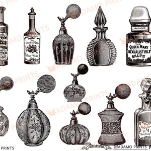 Op de afbeelding: Een verzameling vintage parfumflesjes met sierlijke ontwerpen en etiketten. De flesjes zijn zwart-wit en bevatten tekst zoals "Monte Golden Cologne", "Queen Mary Violet Water", "The Queen Mary Inexhaustible Salts" en "Gold's Lavender New York".