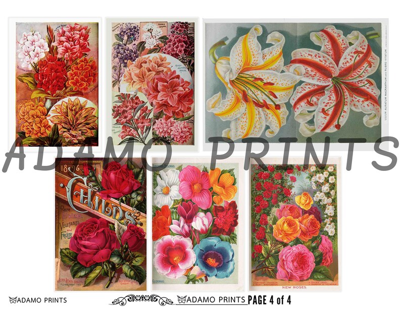 ATC Book Pages Vintage Art Rare and Beautiful Flowers Set2 Ephemera Classics Plants Digital Images Scrapbook Digital Collage