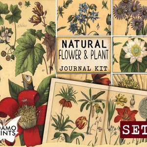 Natuurlijke bloem & plant Journal Kit Set3, Journal Page, Flower Journal, Ephemera Journal, Afdrukbare Journal Kit, Scrapbook Planten, Vintage