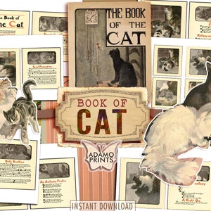 El Libro del Gato, Página del Libro, Libro Infantil Digital, Gato Efímera, Imágenes Imprimibles, Arte Vintage, Clásico, Collage Digital, Gato Scrapbook