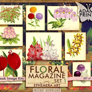 Floral Magazine Set1, Imágenes Digitales, Flores Silvestres, Plantas, ATC, Historia de las Flores, Clásicos Efímeros, Arte Vintage, Collage Digital, Descargar