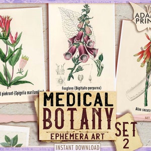 Zestaw botaniki medycznej 2, obrazy do druku, sztuka vintage, cyfrowe efemerydy, zniszczony, roślina, arkusz kolażu, zestaw dziennika, tagi, zestawy do scrapbookingu
