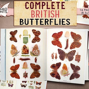 Complete British Butterflies, Papillons Classic, Butterfly Digital, Digital Images, Printable Image, Digital Collage, Book Page, Entomology