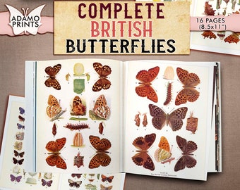 Vintage British Butterflies Prints, Entomology Collage, Book Page (Digital Images)