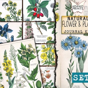 Fleur naturelle - Kit de Journal de plantes Set2, Page de Journal, Journal de fleurs, Journal d'éphémères, Kit de Journal imprimable, Scrapbook Plants, vintage