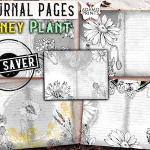 Páginas del diario de plantas de miel, ahorrador de tinta, diario basura de flores, neutro, blanco y negro, kit de diario imprimible, álbum de recortes botánico, vintage