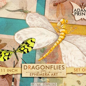 Dragonflies Digital Images, Ephemera Classics, Vintage Art, Scrapbook, Digital Collage, Ephemera Digital, Nature, Paintings, Download