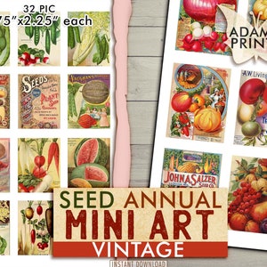 Mini Art - Vintage Seed Annual, Imagens em miniatura, Materiais de diário, Coisas efêmeras, Álbum de recortes, Vintage, Planta, Jardim, Colagem digital, Alter Art