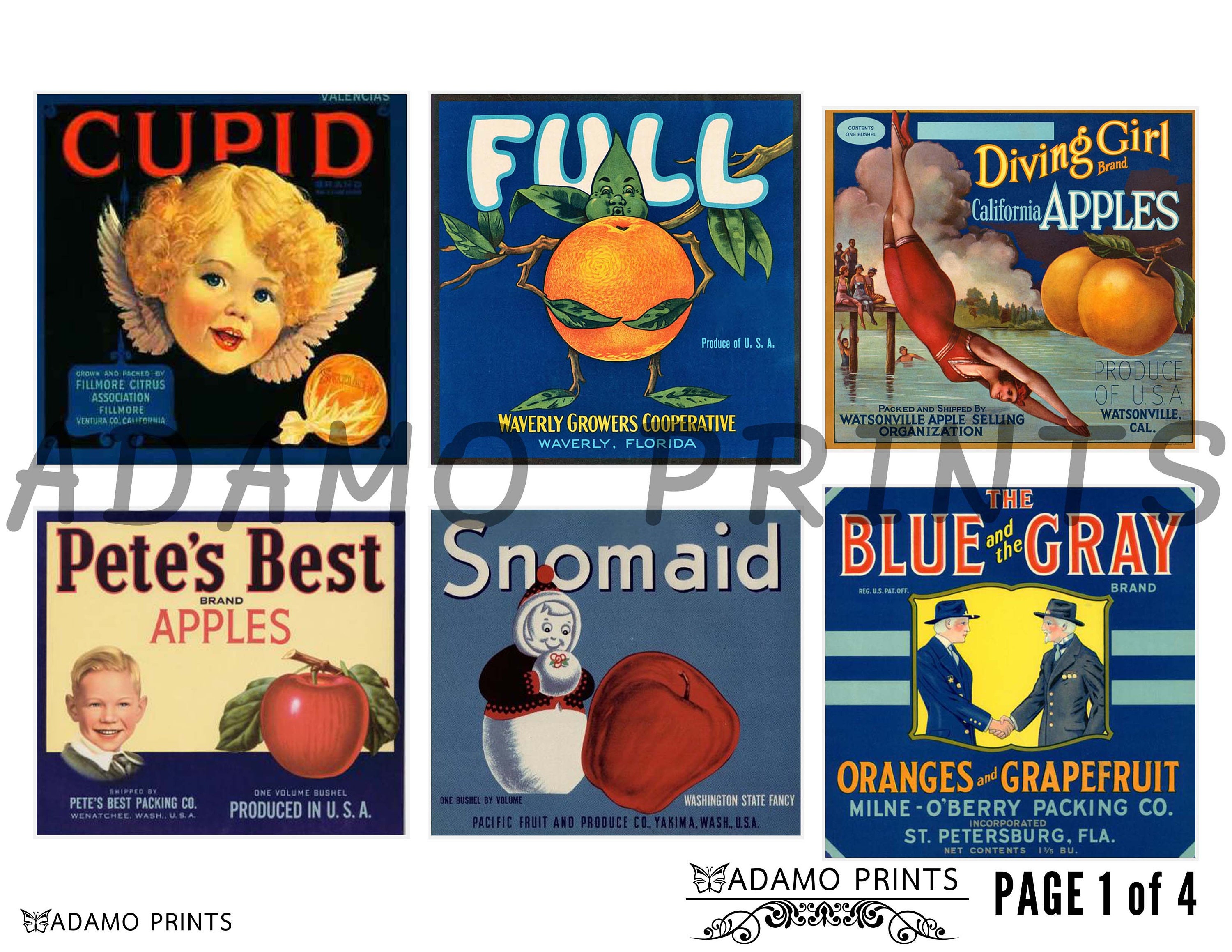 【使い勝手の良い】 Vintage Fruit Digital Labels, Color Lemon, Orange, Label, 絵画