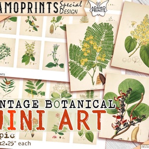 Mini Arte - Botánico Vintage, Imágenes en Miniatura, Suministros de Revistas, Efímera, Álbum de Recortes, Vintage, Planta, Jardín, Collage Digital, Alter Art