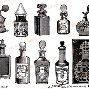 Op de afbeelding: Een verzameling vintage parfumflesjes met sierlijke ontwerpen en etiketten. De flesjes zijn van glas en hebben verschillende vormen en maten. Sommige flesjes hebben stoppen, terwijl andere verstuivers hebben. De flesjes zijn allemaal in zwart-wit.