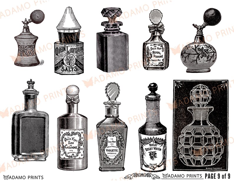 Op de afbeelding: Een verzameling vintage parfumflesjes met sierlijke ontwerpen en etiketten. De flesjes zijn van glas en hebben verschillende vormen en maten. Sommige flesjes hebben stoppen, terwijl andere verstuivers hebben. De flesjes zijn allemaal in zwart-wit.