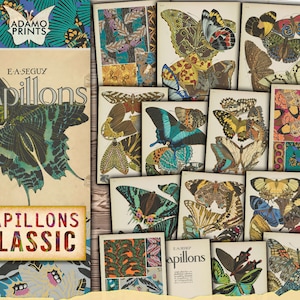 Papillons Classic, Butterfly Digital, Digital Images, Ephemera Classic, Printable Image, Vintage Art, Digital Collage, Book Page, Entomology