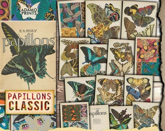 Papillons Classic, Butterfly Digital, Digital Images, Ephemera Classic, Printable Image, Vintage Art, Digital Collage, Book Page, Entomology