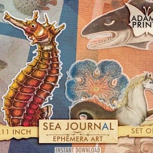 Journal de la mer, documents éphémères numériques, science, tortue, crabe, poisson, hippocampe, oeuvre d'art vintage, collage numérique, oeuvre d'art éphémère, scrapbooking, téléchargement