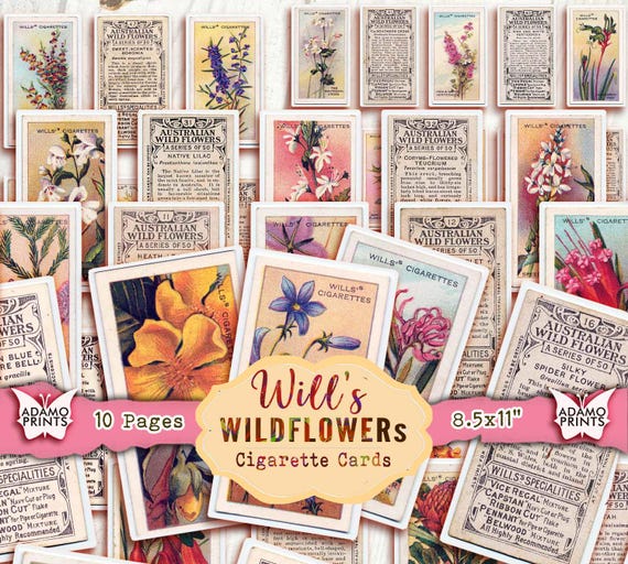 100 Will's Australian Wildflowers Cigarette Cards, Ephemera Tea Cards,  Vintage Collage Sheet, Ephemera Flower Digital, Junk Journal Kit