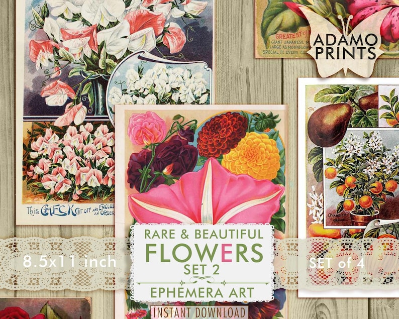 ATC Book Pages Vintage Art Rare and Beautiful Flowers Set2 Ephemera Classics Plants Digital Images Scrapbook Digital Collage