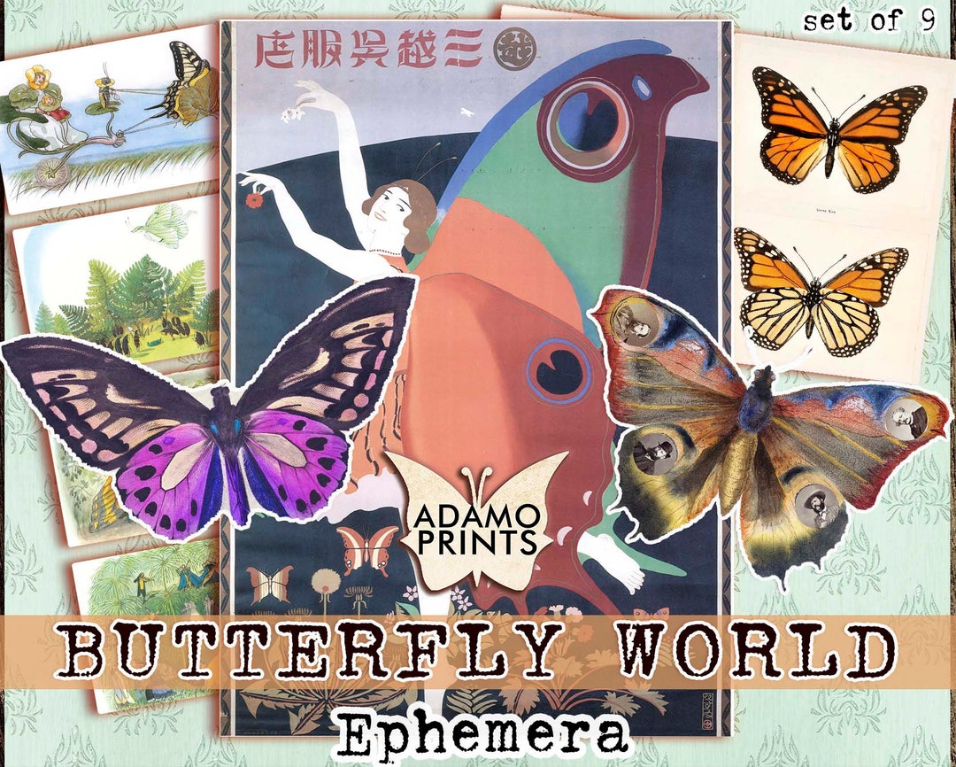 Butterfly items for christmas gifts