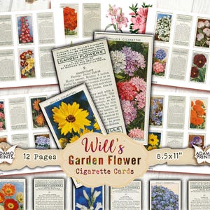 Tarjetas de flores de jardín australiano de Will's Cigarette, tarjetas de té efímeras, hoja de collage vintage, flores efímeras digitales, kit de diario basura