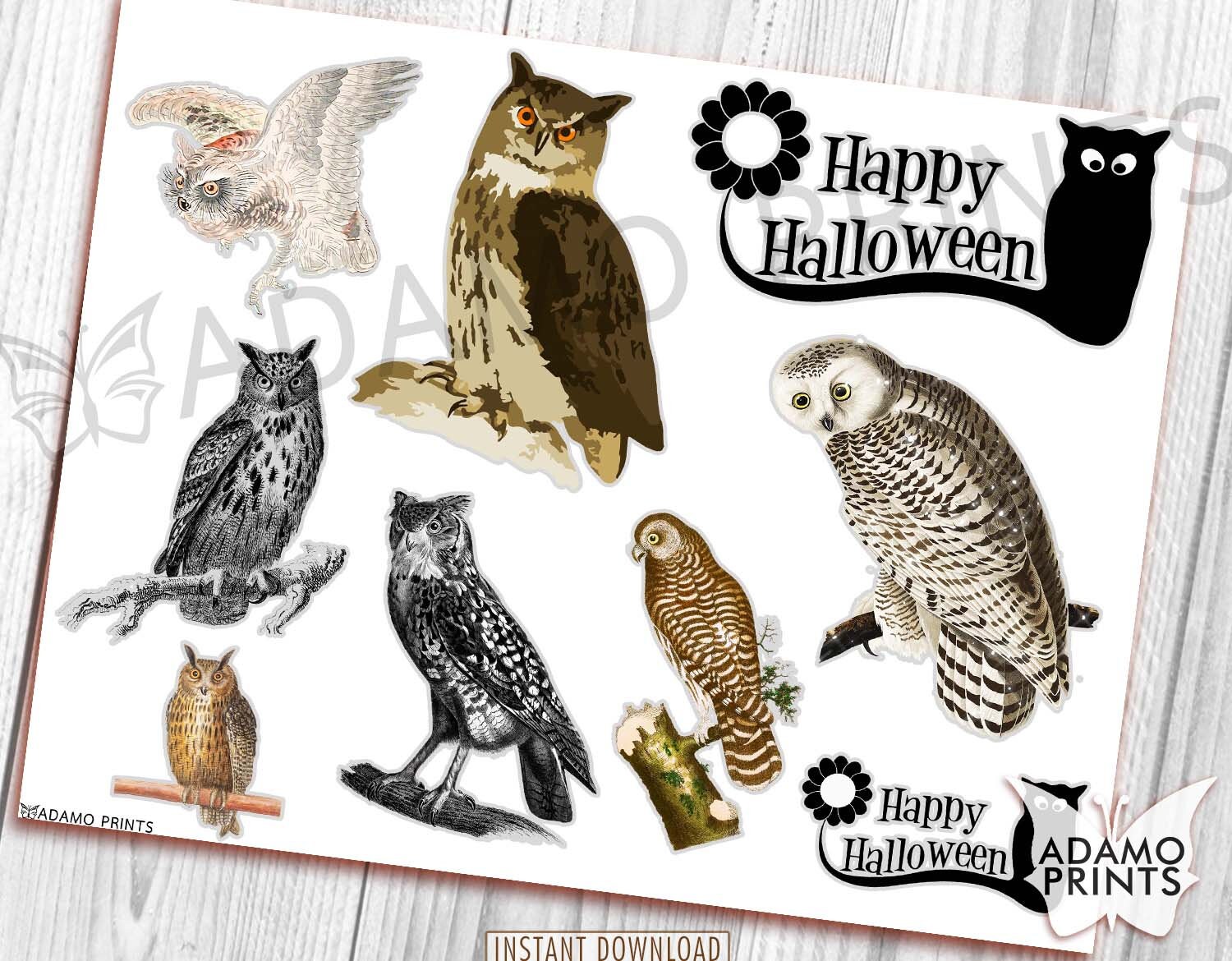 Owl Fussy Cut Birds Junk Journal Kit Printable Ephemera Etsy