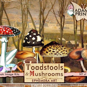 Champignons vénéneux et champignons, Champignons à imprimer, Art éphémère, Images imprimables, Art vintage, Collage numérique, Scrapbooking Woodland, Cartes ATC