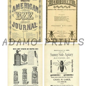 Busy Bee Set2, Ephemera Classics, Cards, Printable Images, Vintage Art ...