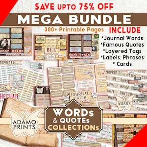 Mega BUNDLE Parole per il diario Citazioni, Parole per il diario spazzatura, Kit per diario spazzatura, Definizione, Tecniche miste, Arte effimera, Citazioni stampabili