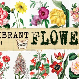 Vibrant Flower Set1, Botanical Digital, Ephemera Classics, Collage sheets, Flower Digital, Vintage Art, Digital Kit, Digital Image, Download