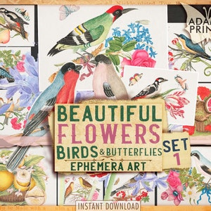 Ensemble de belles fleurs oiseaux et papillons 1, cartes pour carnet, éphémères imprimables, journal indésirable, ATC, vintage, feuille de collage, nature éphémère